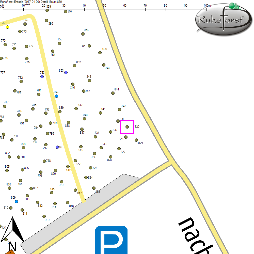 Detailkarte zu Baum 830