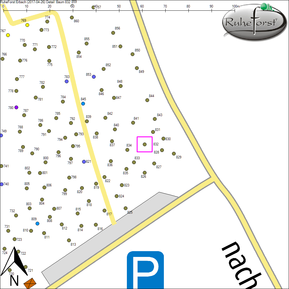 Detailkarte zu Baum 832