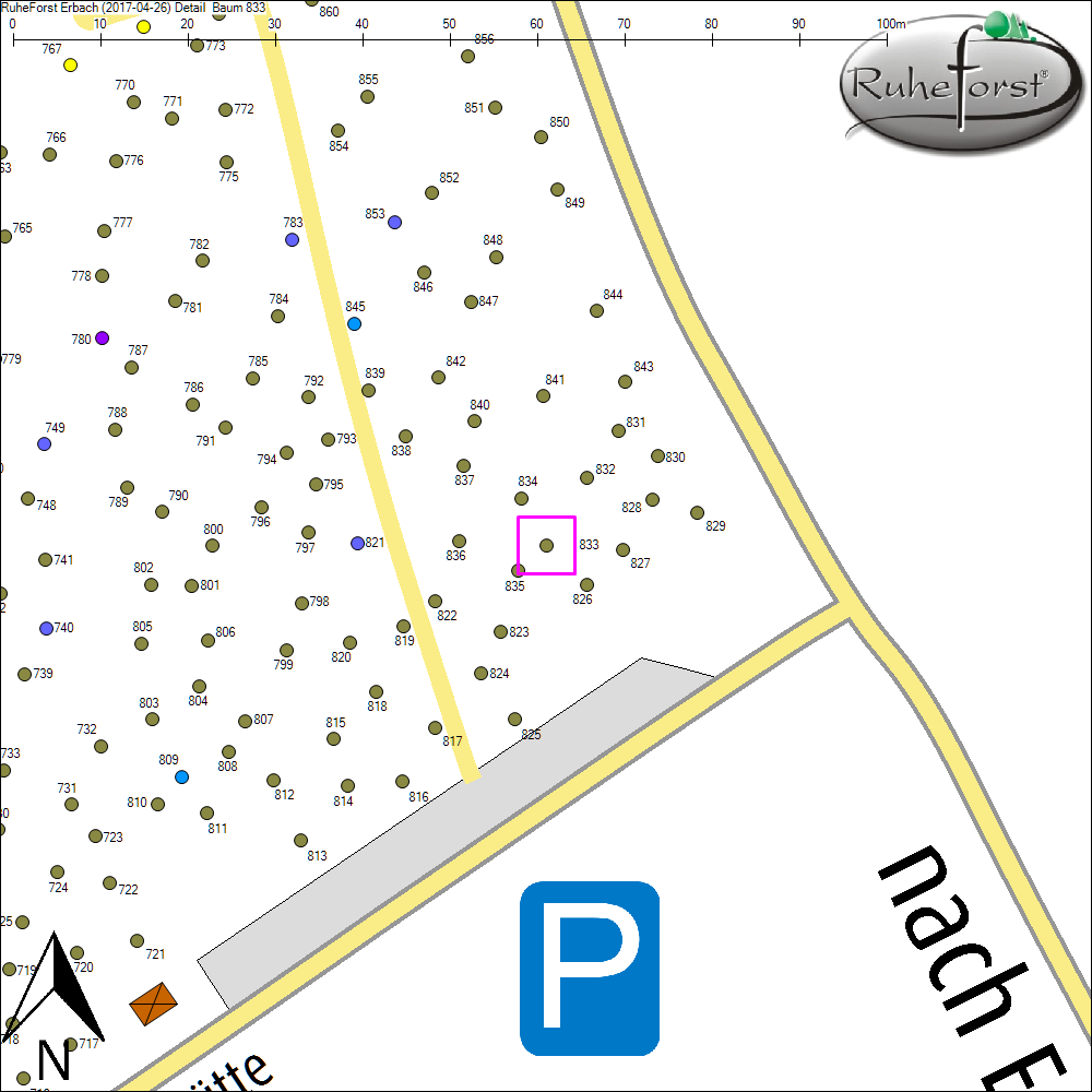 Detailkarte zu Baum 833