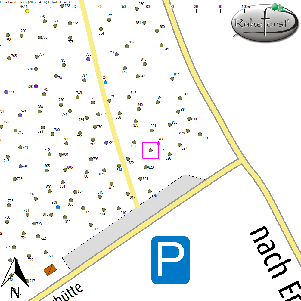 Detailkarte zu Baum 835