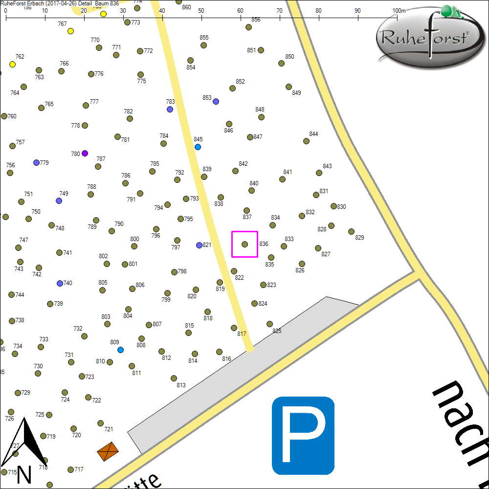Detailkarte zu Baum 836
