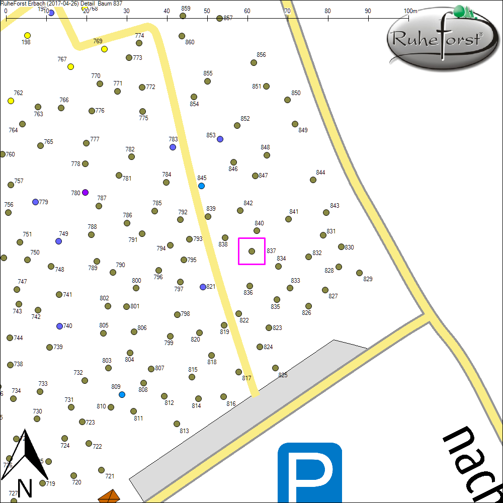 Detailkarte zu Baum 837