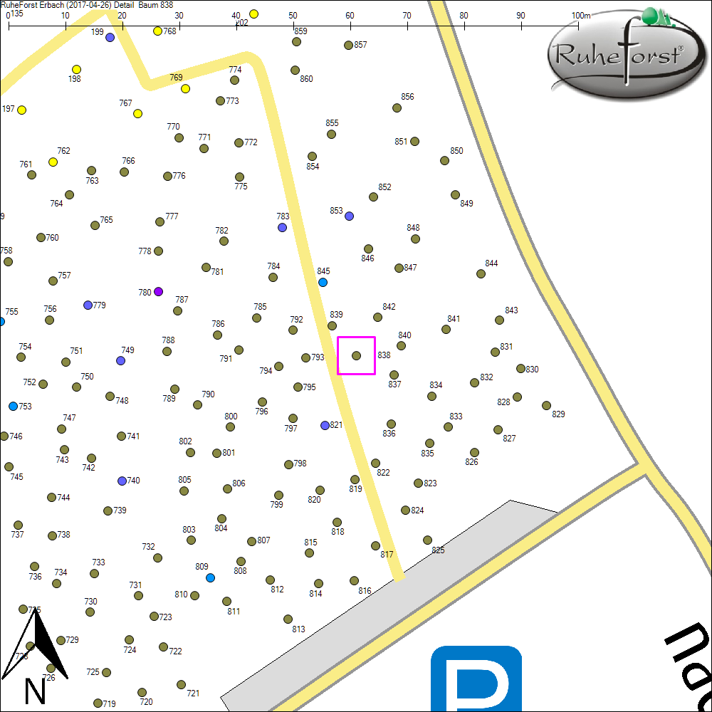 Detailkarte zu Baum 838
