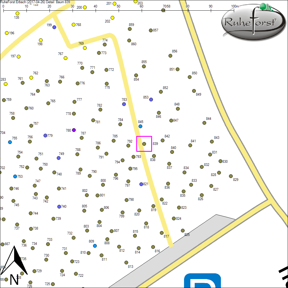 Detailkarte zu Baum 839