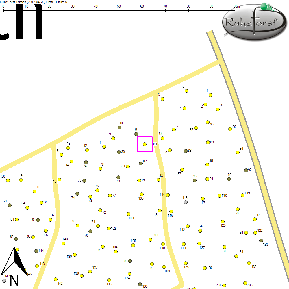 Detailkarte zu Baum 83