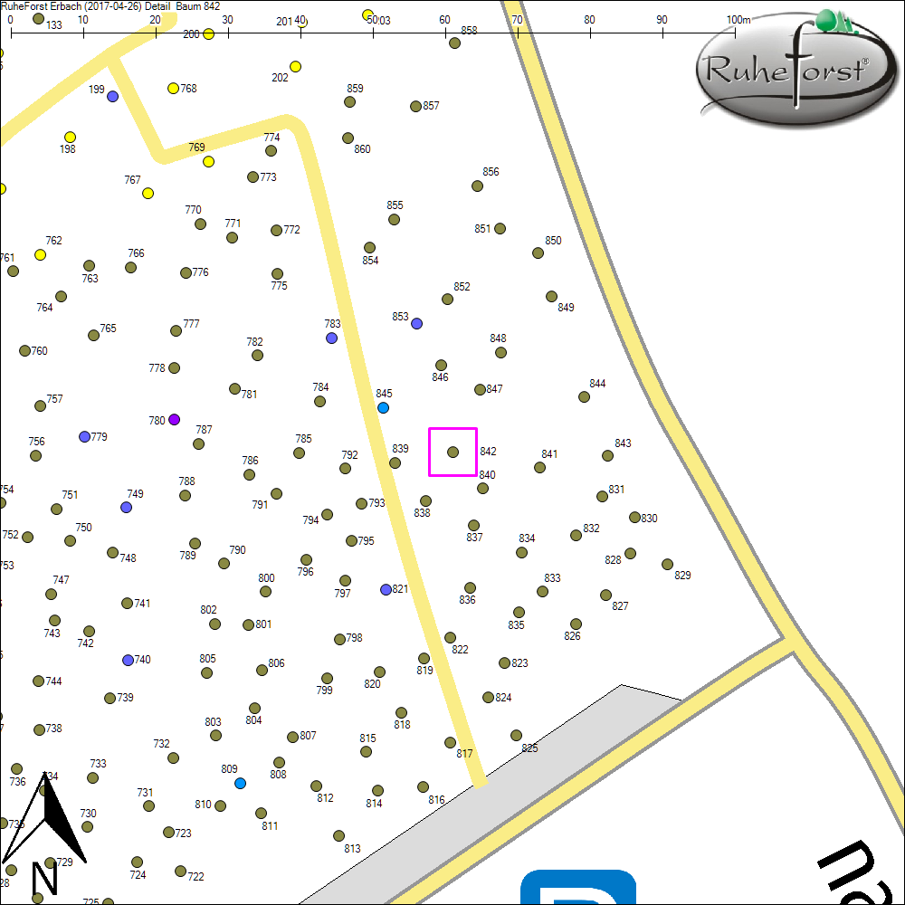 Detailkarte zu Baum 842