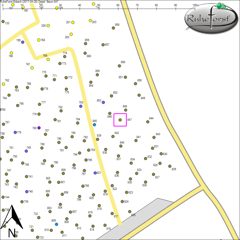 Detailkarte zu Baum 847