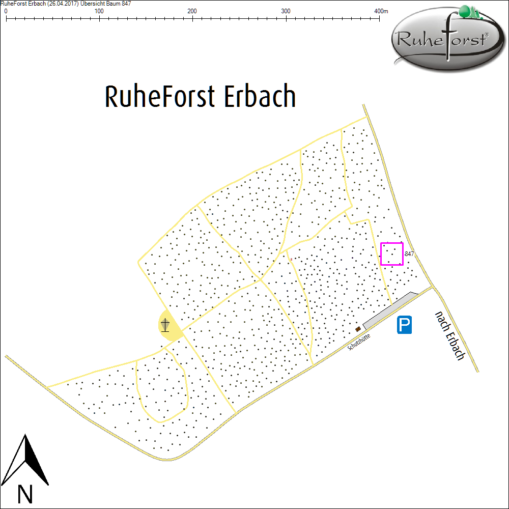 &Uuml;bersichtskarte zu Baum 847