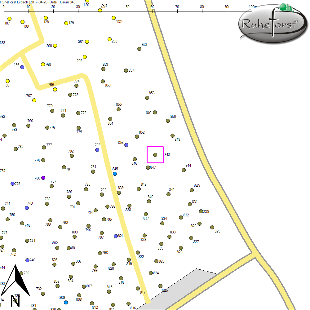 Detailkarte zu Baum 848