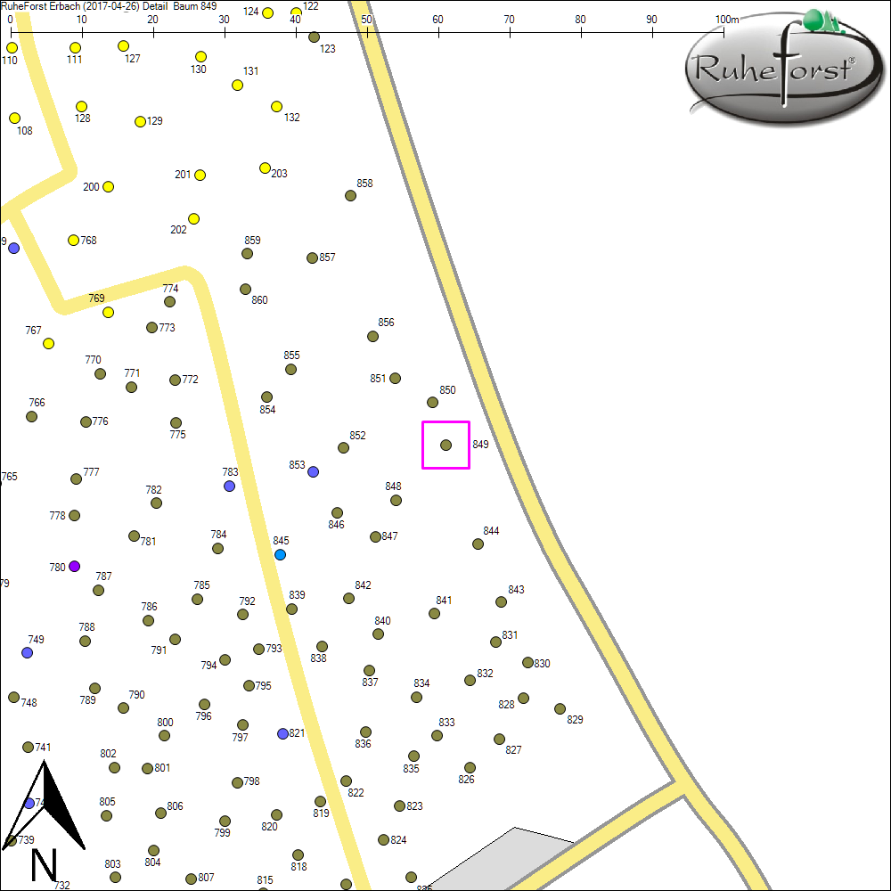 Detailkarte zu Baum 849
