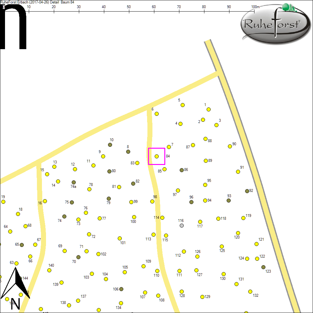 Detailkarte zu Baum 84