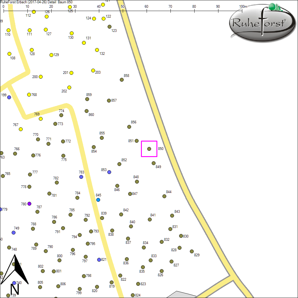 Detailkarte zu Baum 850