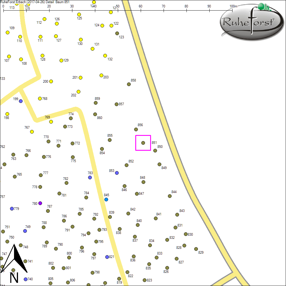 Detailkarte zu Baum 851