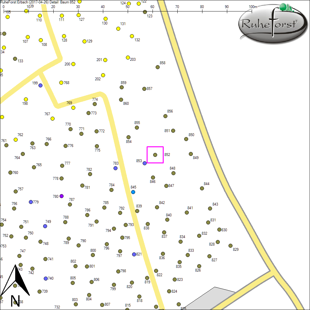 Detailkarte zu Baum 852