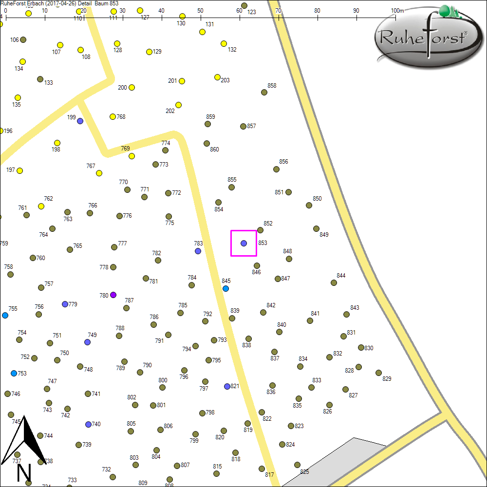 Detailkarte zu Baum 853