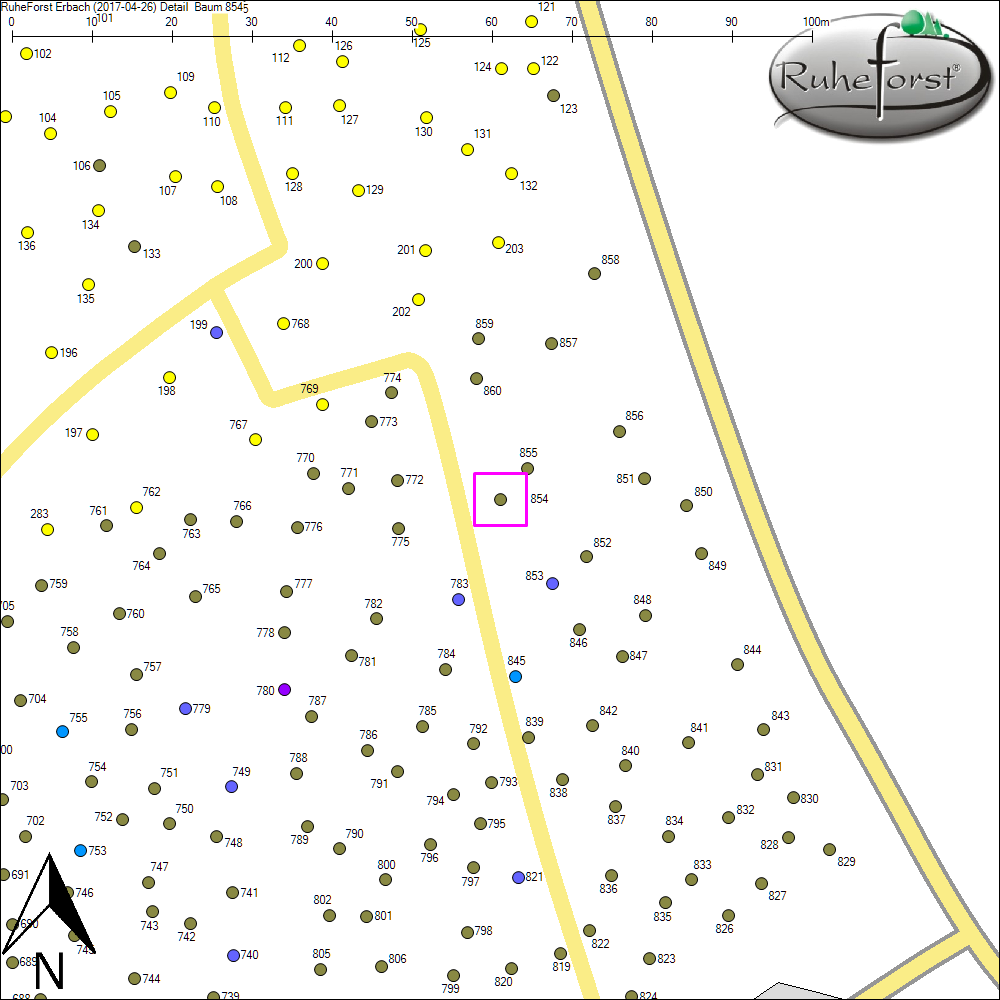 Detailkarte zu Baum 854