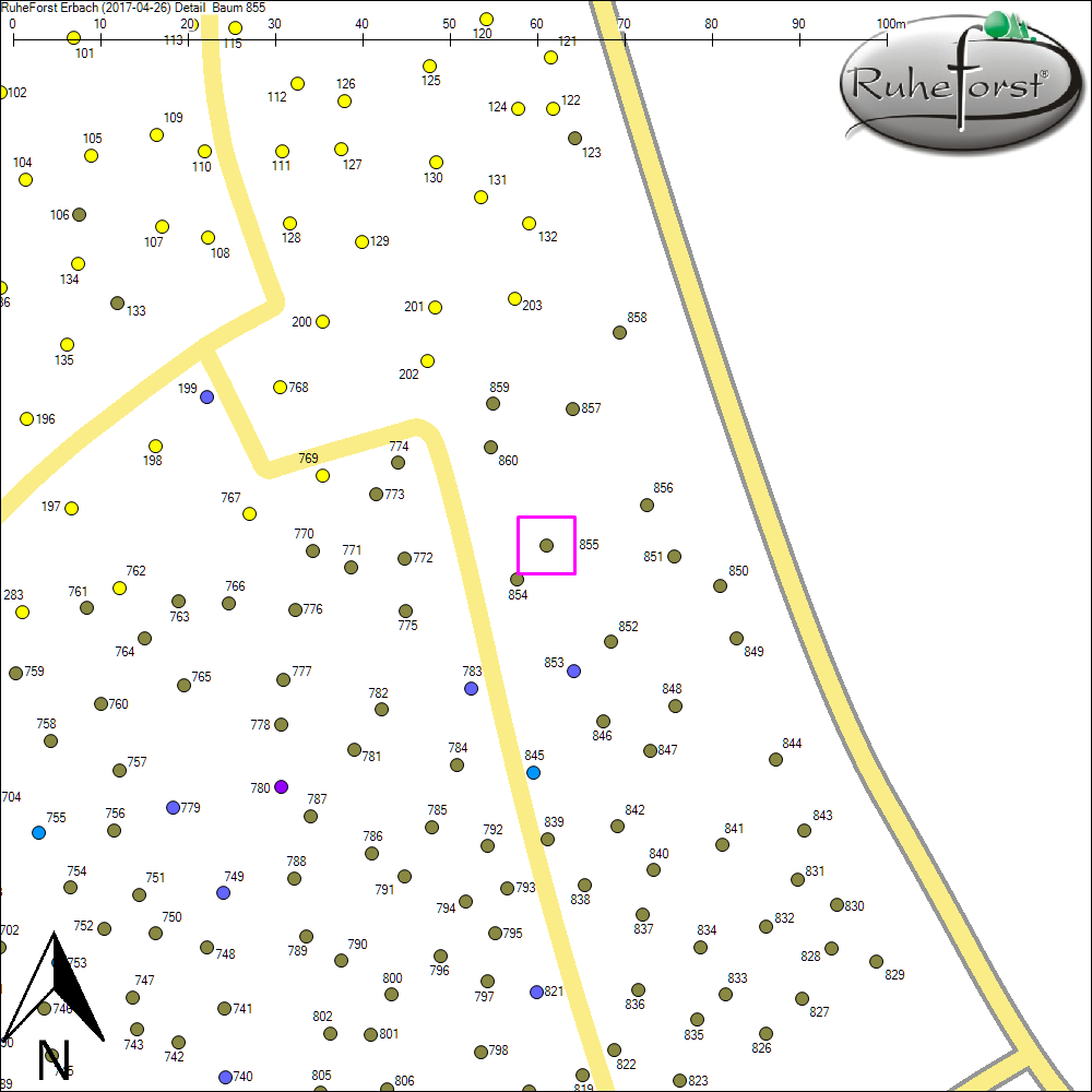 Detailkarte zu Baum 855