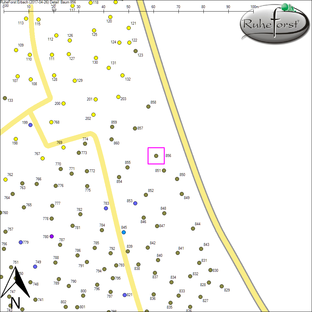 Detailkarte zu Baum 856