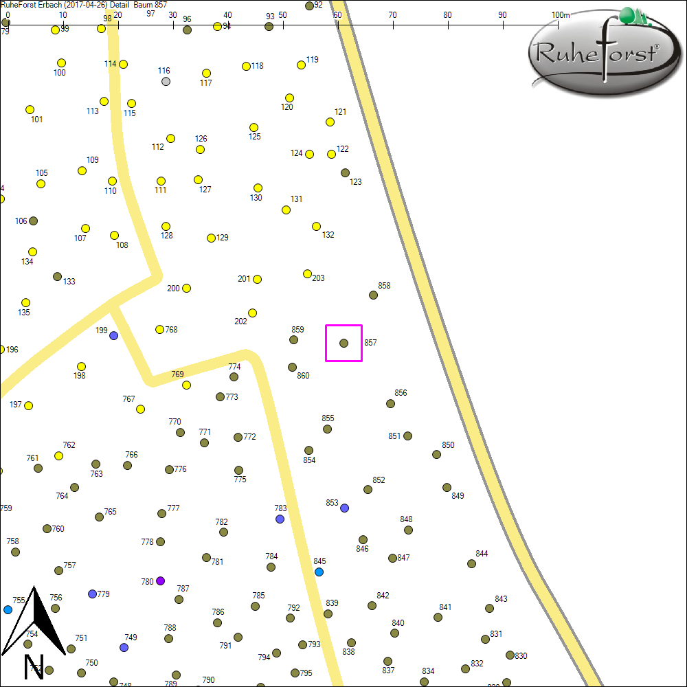 Detailkarte zu Baum 857