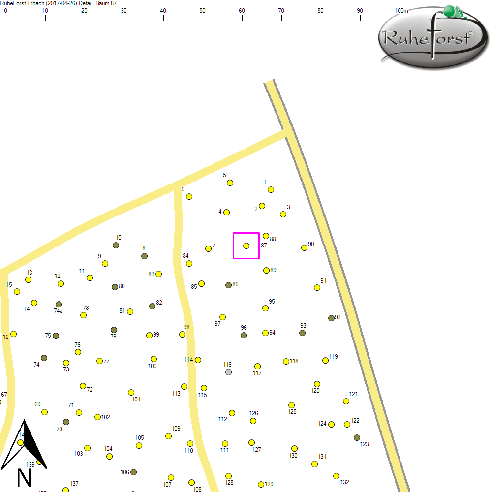 Detailkarte zu Baum 87