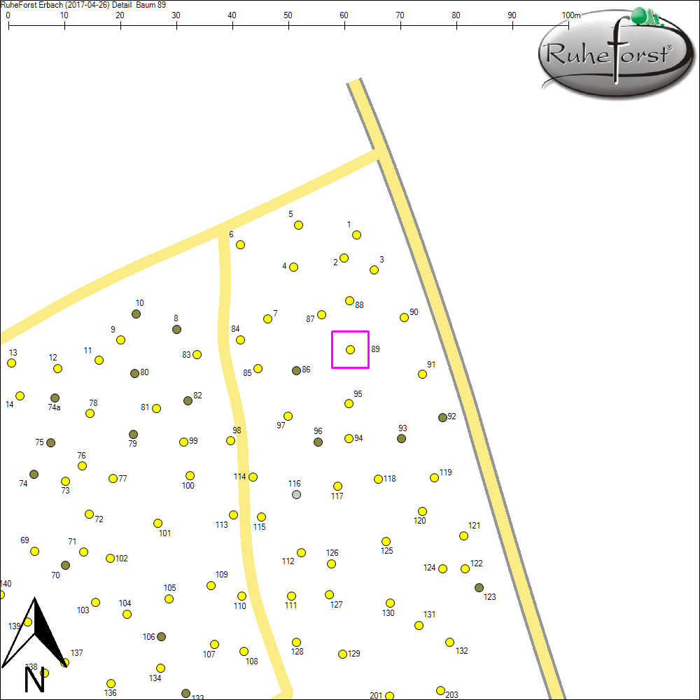 Detailkarte zu Baum 89