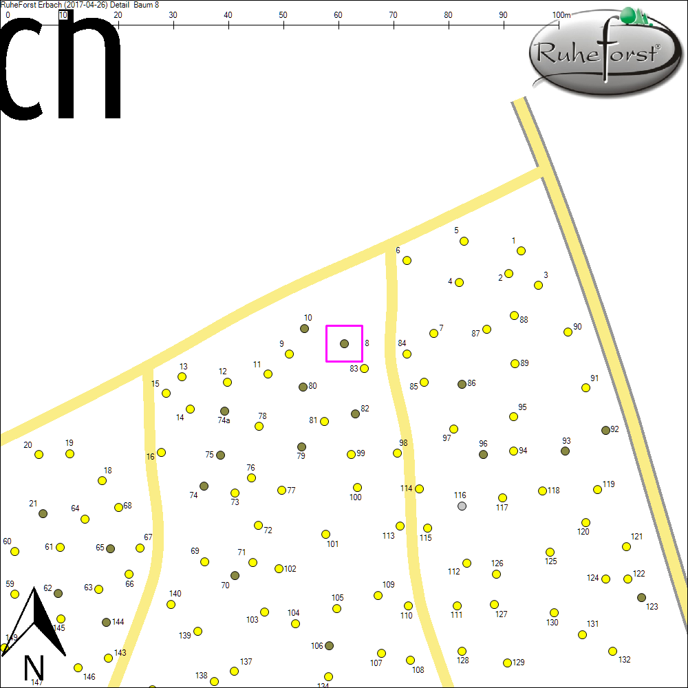 Detailkarte zu Baum 8
