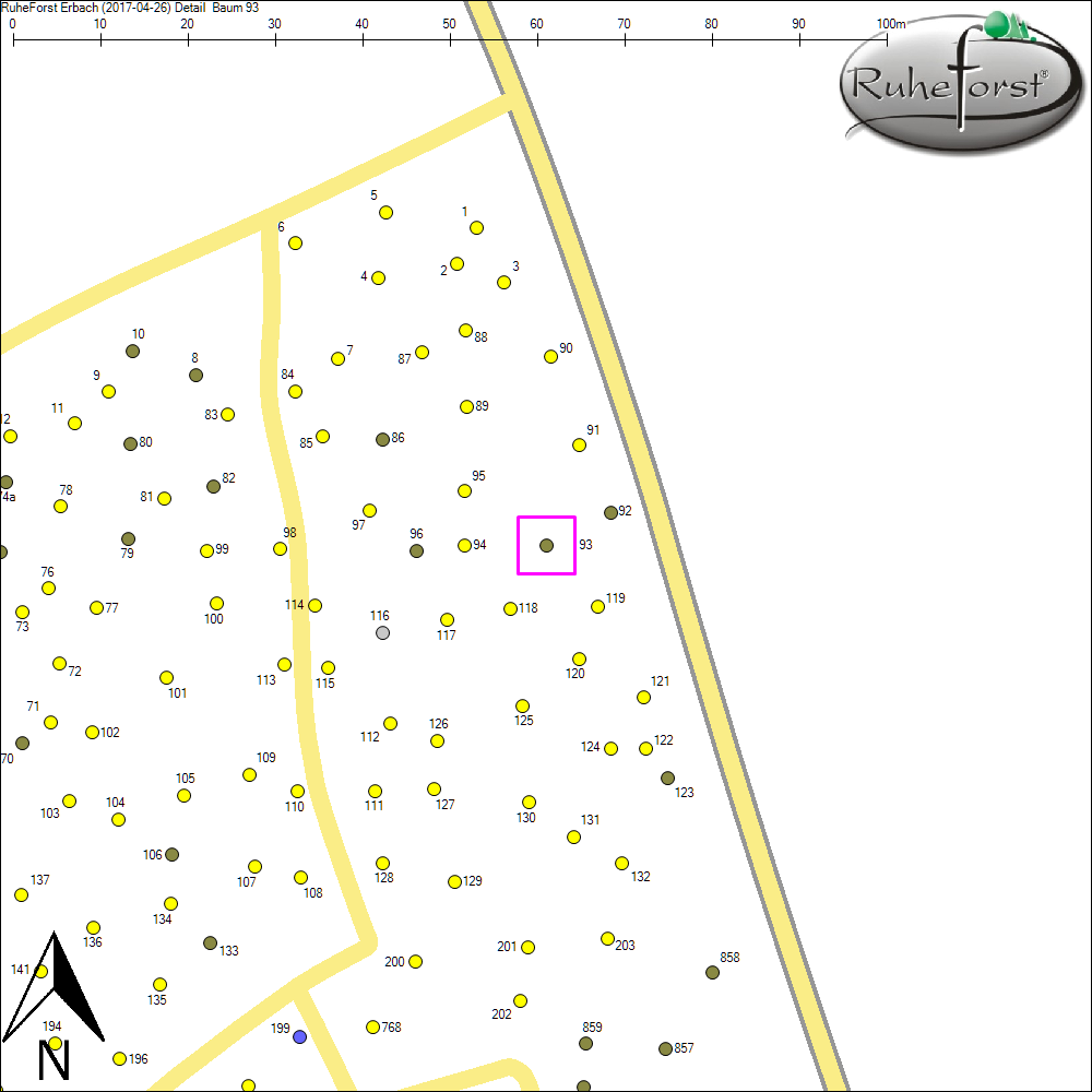Detailkarte zu Baum 93