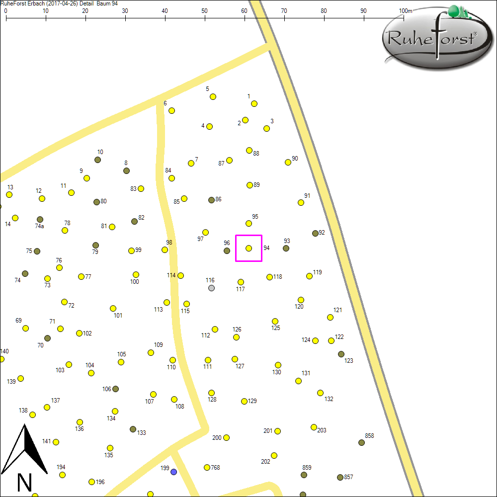 Detailkarte zu Baum 94