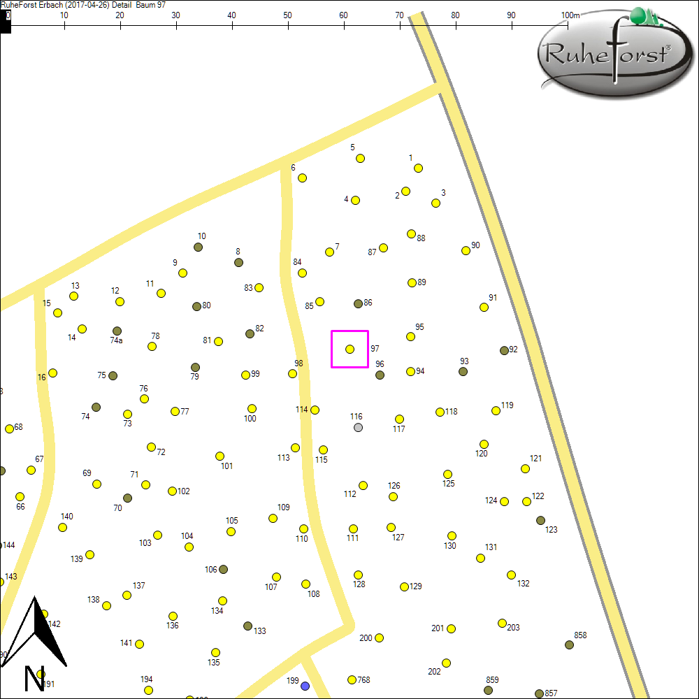 Detailkarte zu Baum 97